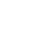 Icon Minus